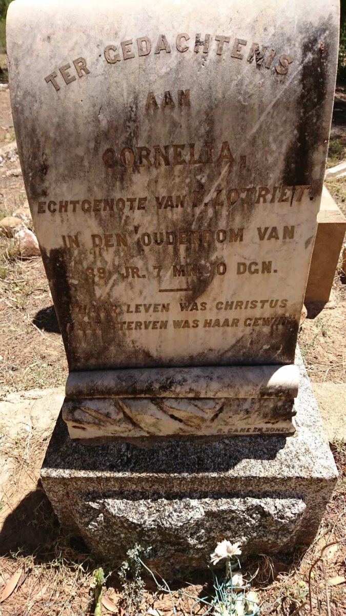 LOTRIET Cornelia