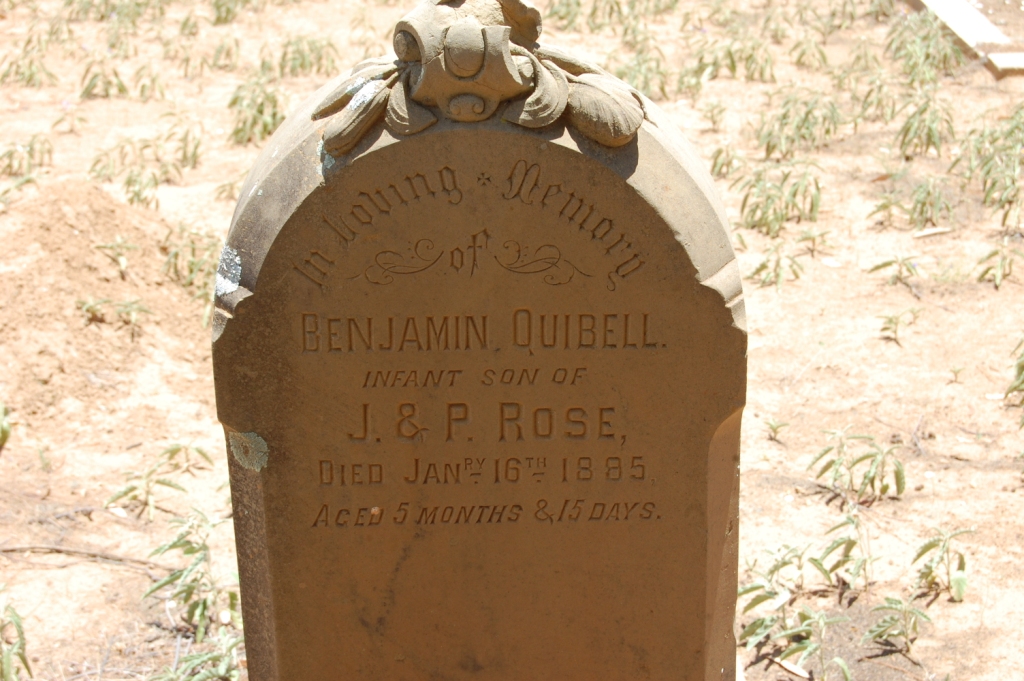 ROSE Benjamin Quibell -1885