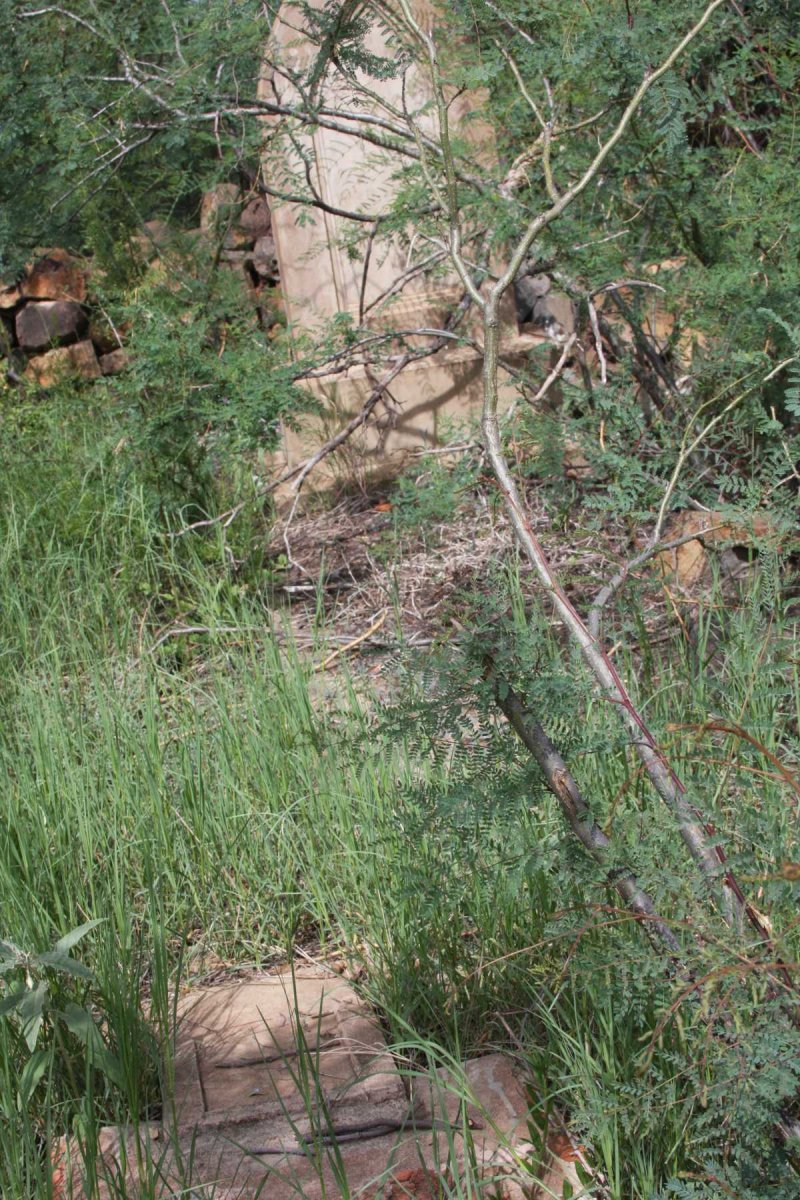3. Overview on gravesite