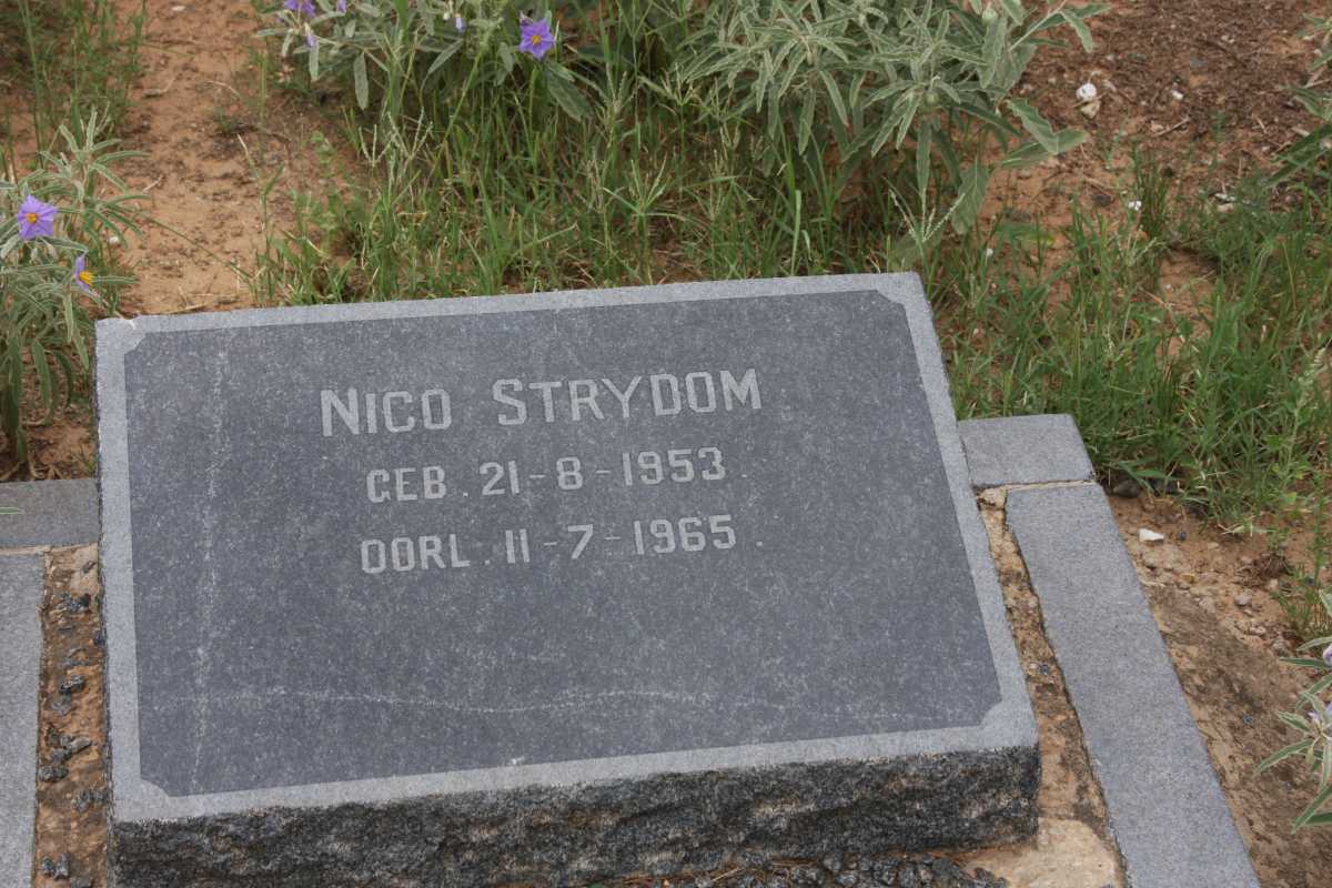 STRYDOM Nico 1953-1965