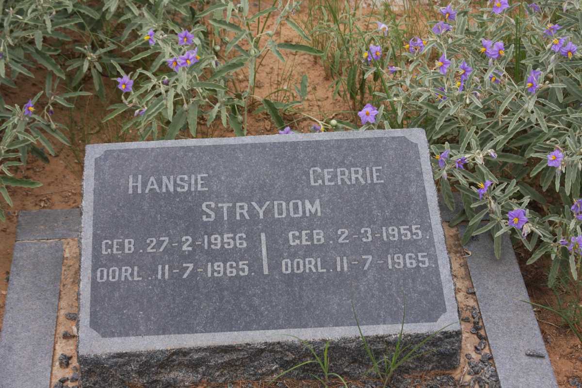 STRYDOM Gerrie 1955-1965 :: STRYDOM Hansie 1956-1965