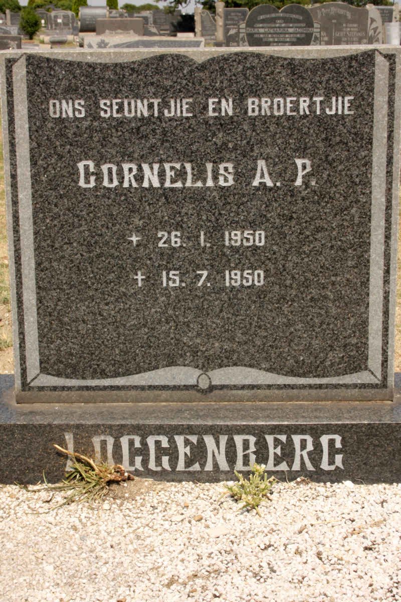 LOGGENBERG Cornelis A.P. 1950-1950