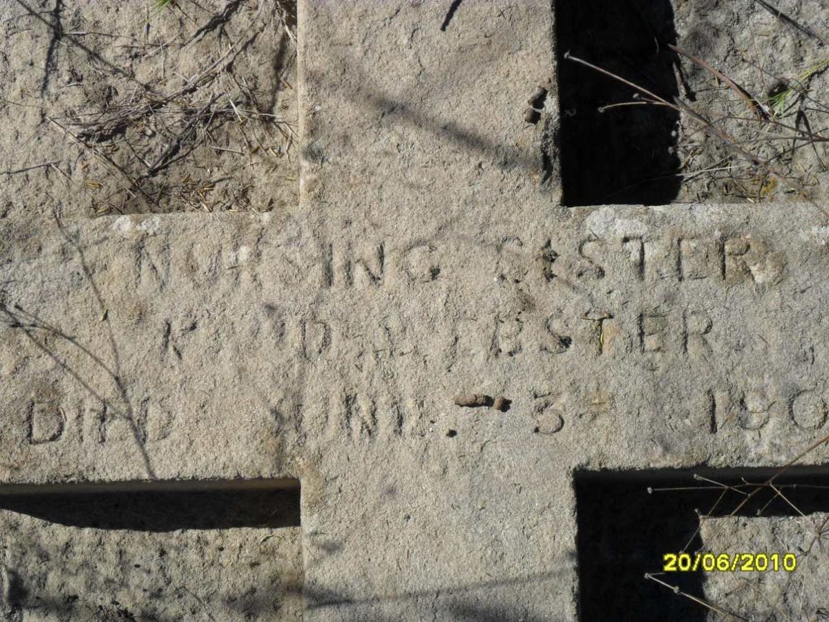 WEBSTER D.