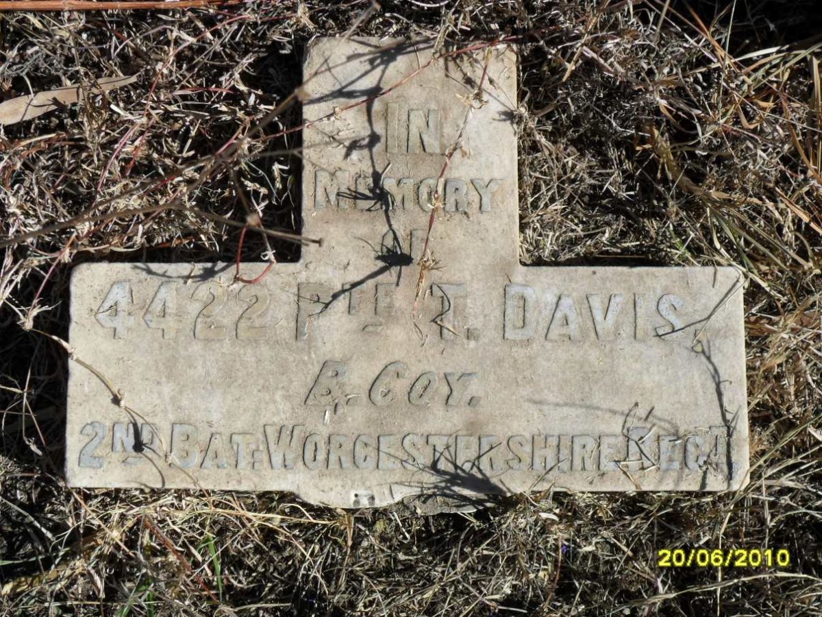 DAVIS T.