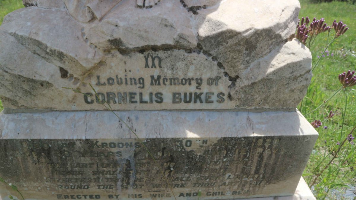 BUKES Cornelis -1920