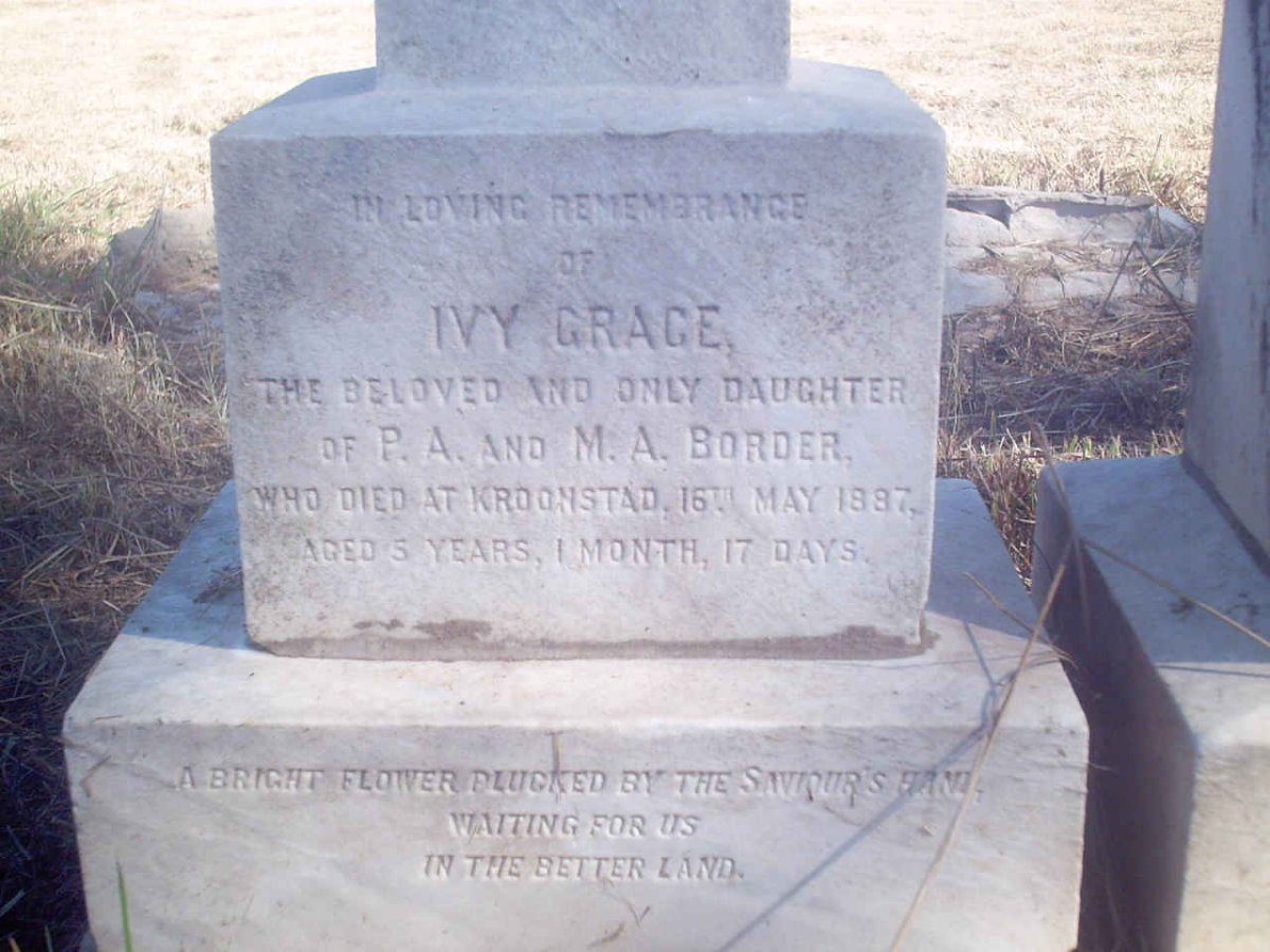 BORDER Ivy Grace -1887