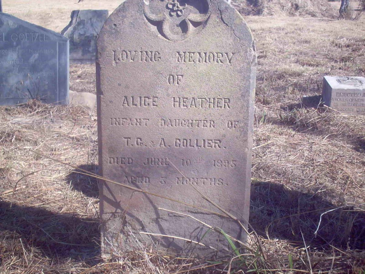 COLLIER Alice Heather -1895