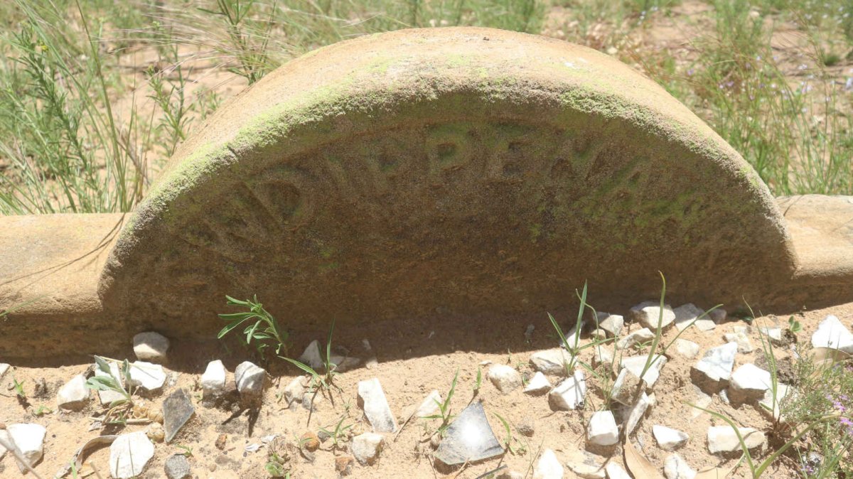 DIPPENAAR S.W.