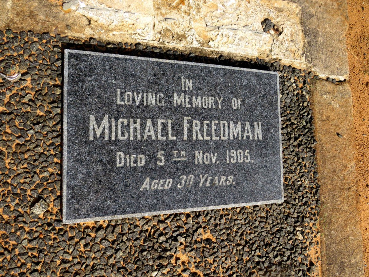 FREEDMAN Michael -1905