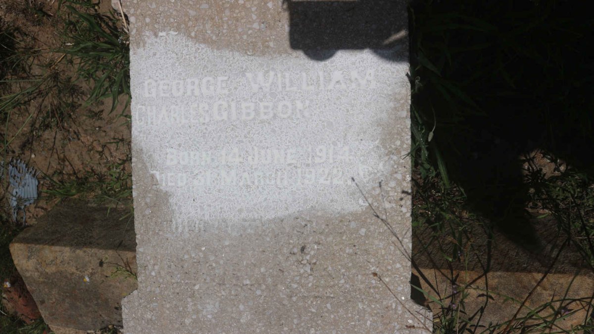 GIBBON George William Charles 1914-1922