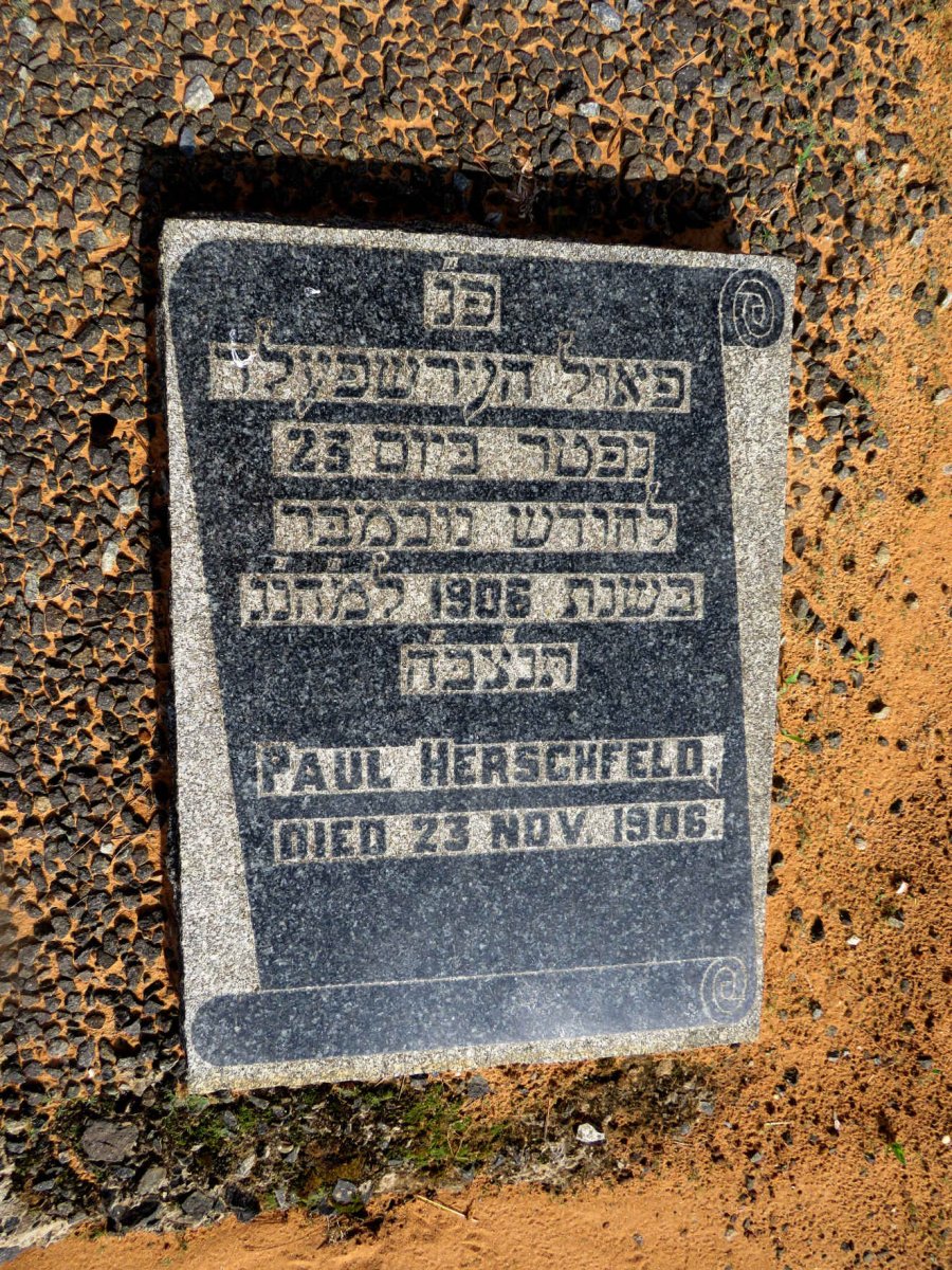 HERSCHFELD Paul -1906