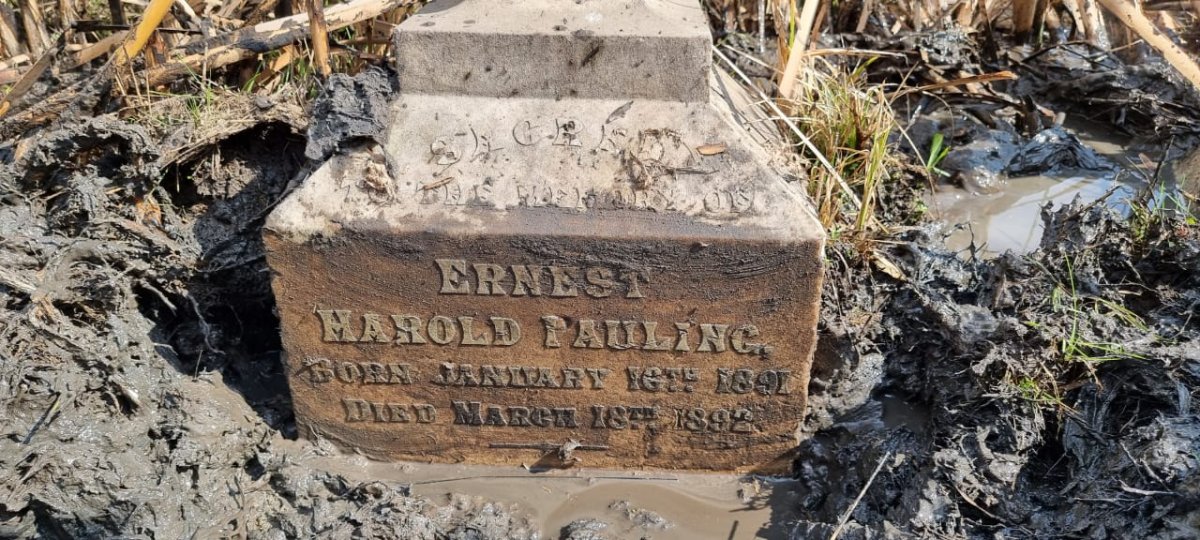 PAULING Ernest Harold 1891-1892