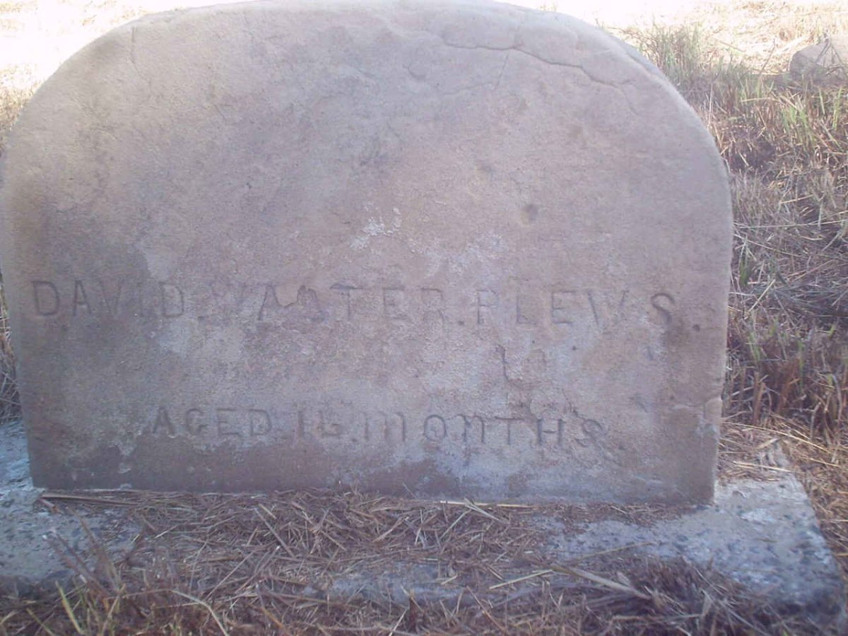 PLEWS David Walter