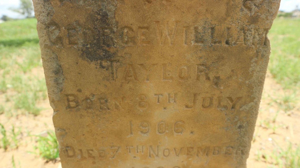 TAYLOR George William 1906-1906