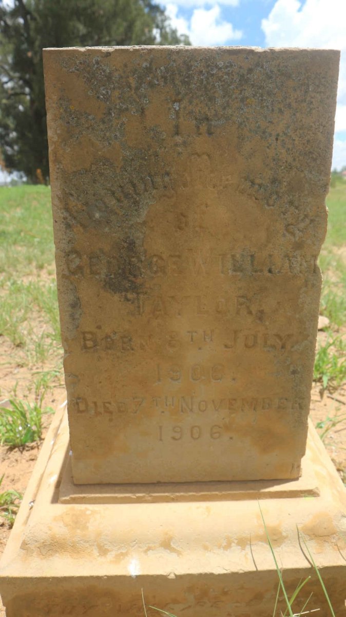 TAYLOR George William 1906-1906
