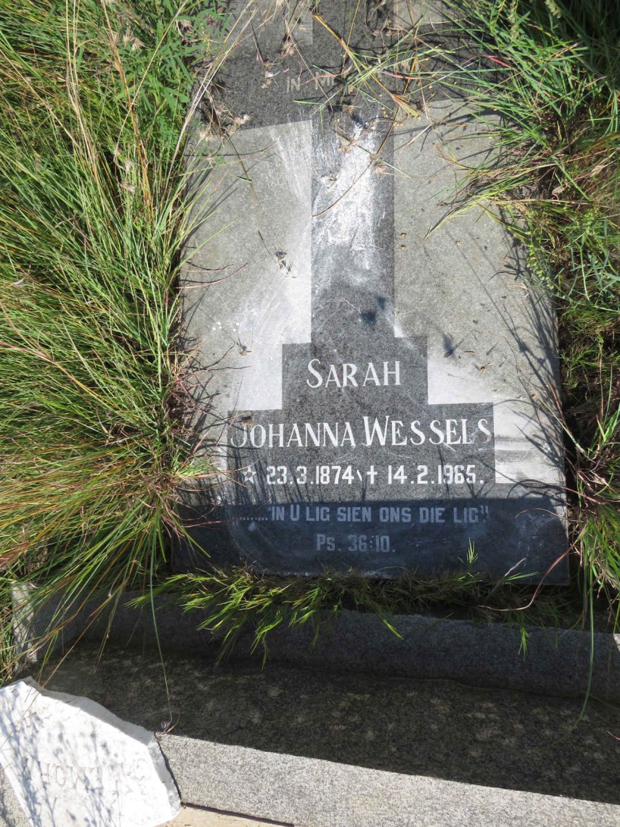 WESSELS Sarah Johanna 1874-1965