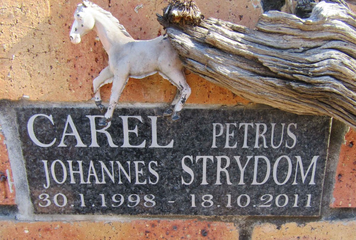 STRYDOM Carel Petrus Johannes 1998-2011