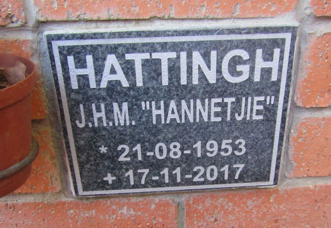 HATTINGH J.H.M. 1953-2017