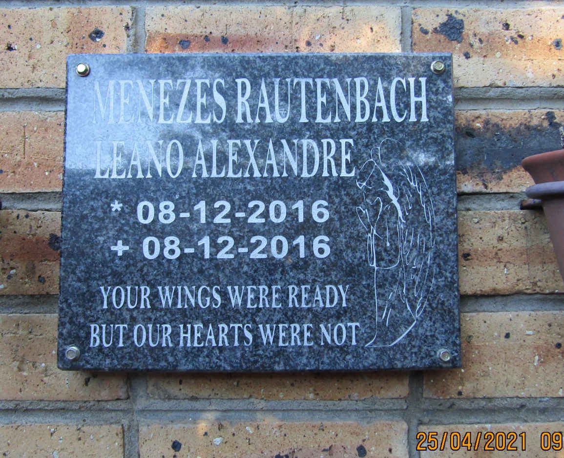 MENEZES RAUTENBACH Leano Alexandre 2016-2016