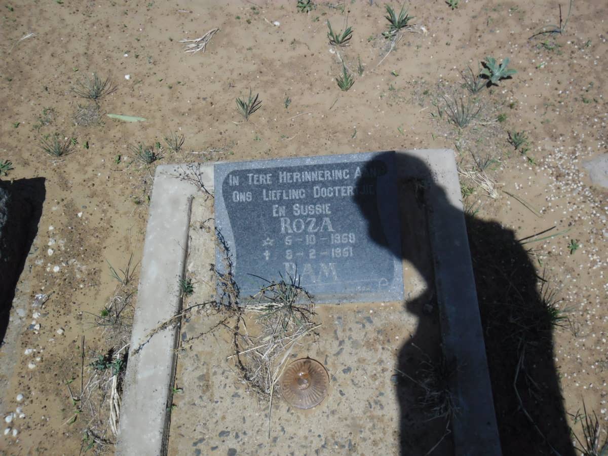 BAM Roza 1950-1951