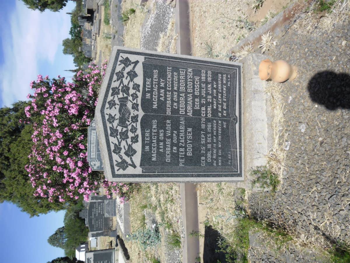 BOOYSEN Pieter Zachariah 1878-1961 &amp; Debora Adriana BOSCH 1883-1939