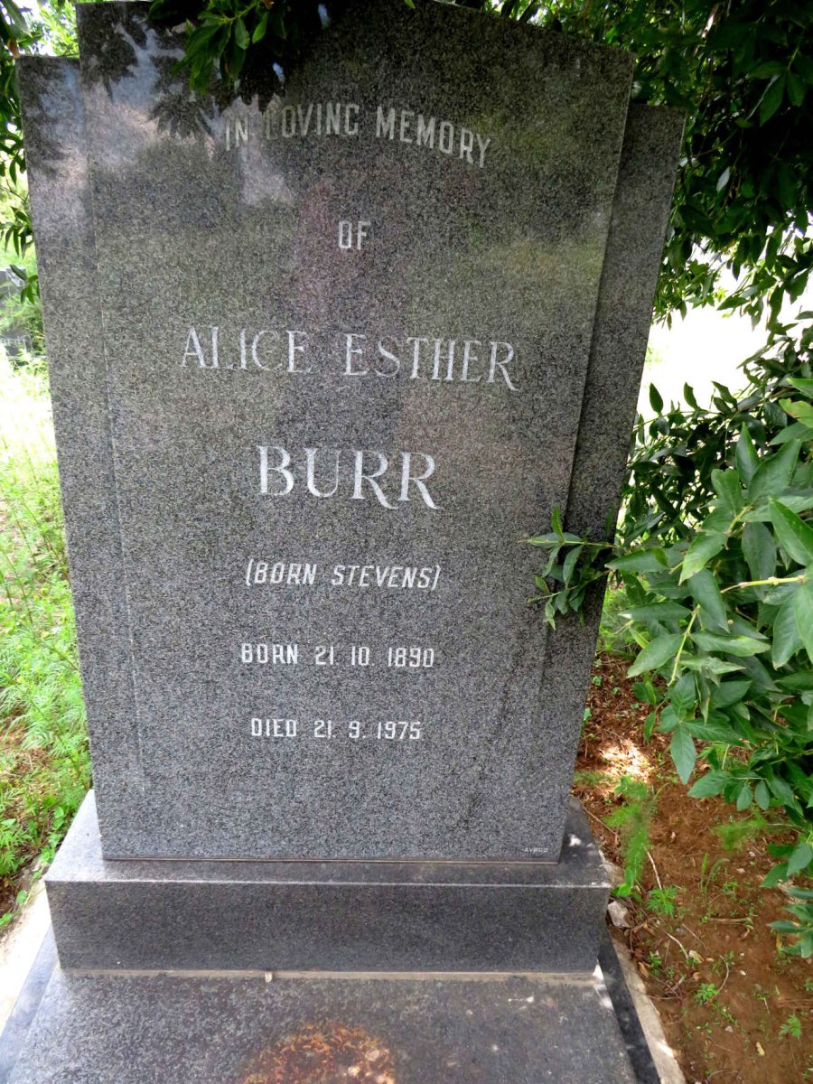 BURR Alice Esther nee STEVENS 1890-1975