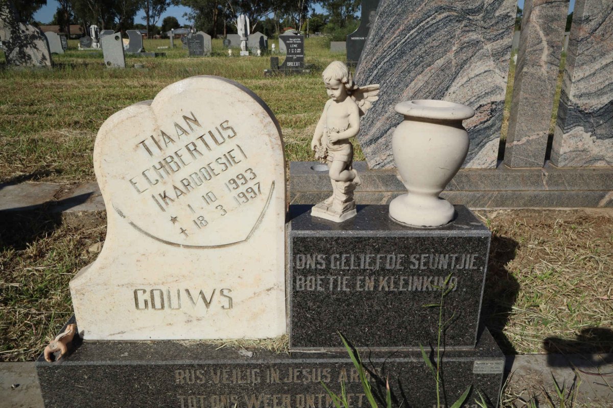 GOUWS Tiaan Echbertus 1993-1997