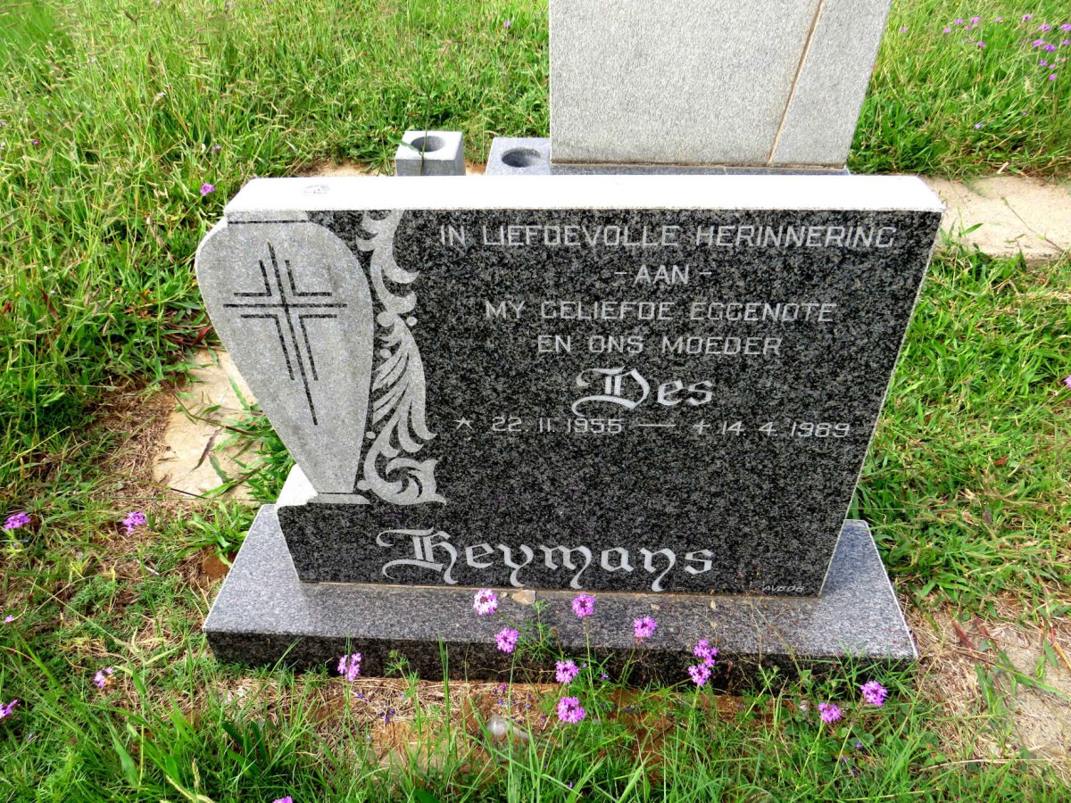 HEYMANS Des 1955-1989