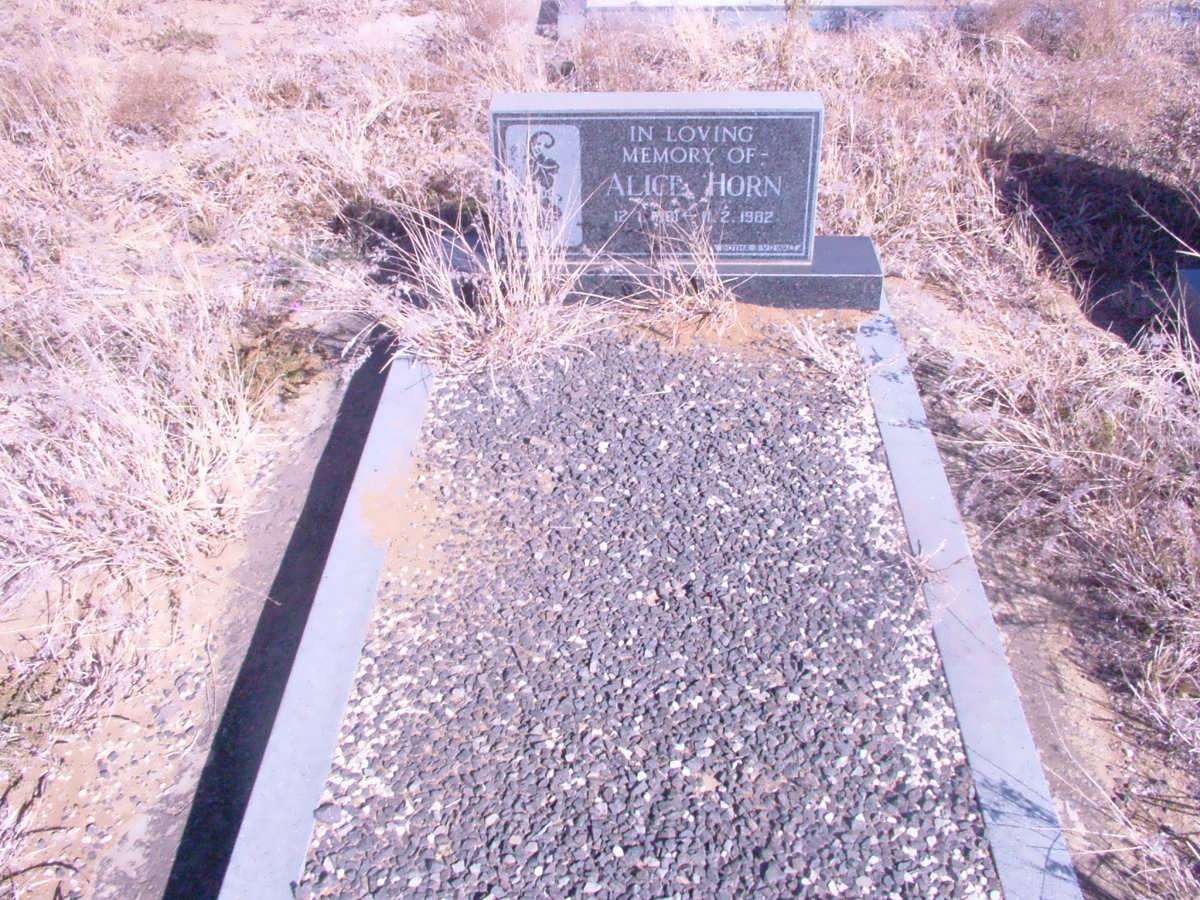 HORN Alice 1981-1982