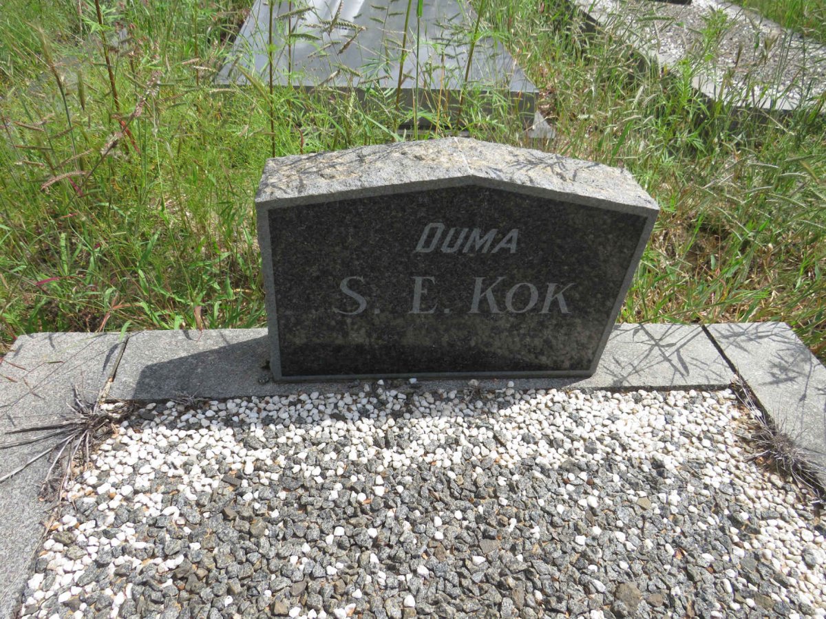 KOK S.E. 