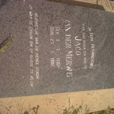 MERWE Jaco, van der 1982-1982