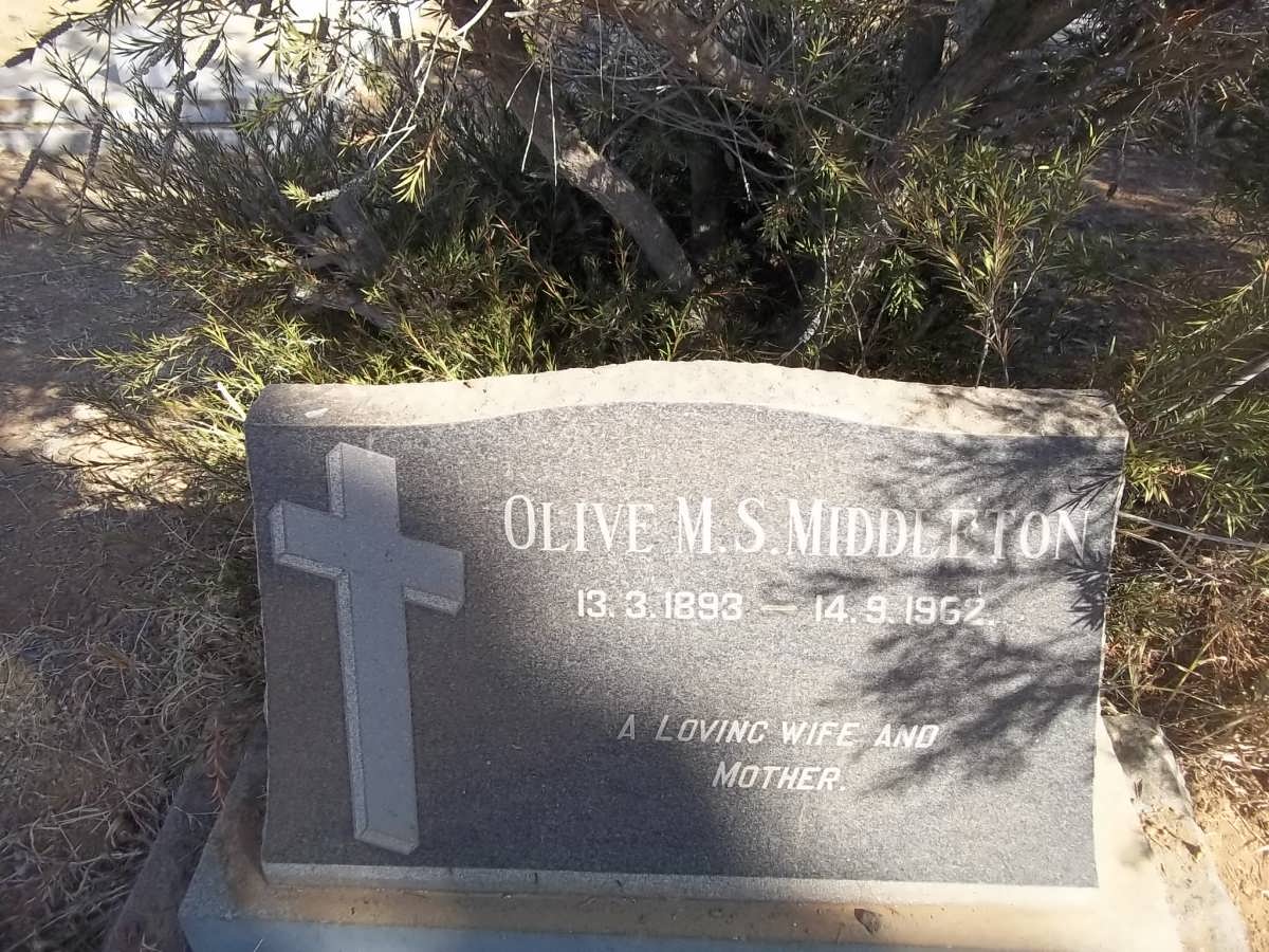 MIDDLETON Olive M.S. 1893-1962