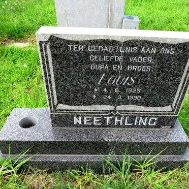 Ne - Surnames starting with the letters Ne