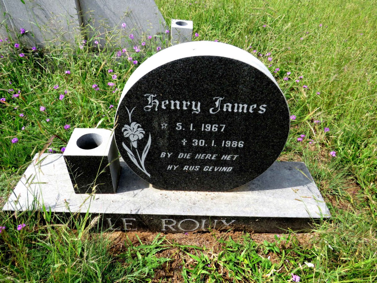 ROUX Henry James, le 1967-1986
