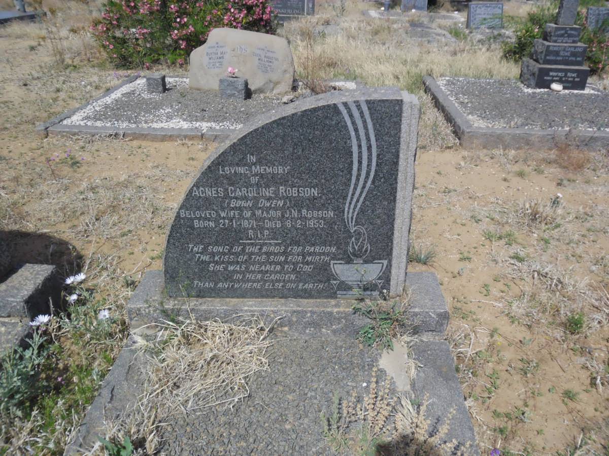 ROBSON Agnes Caroline nee OWEN 1871-1953