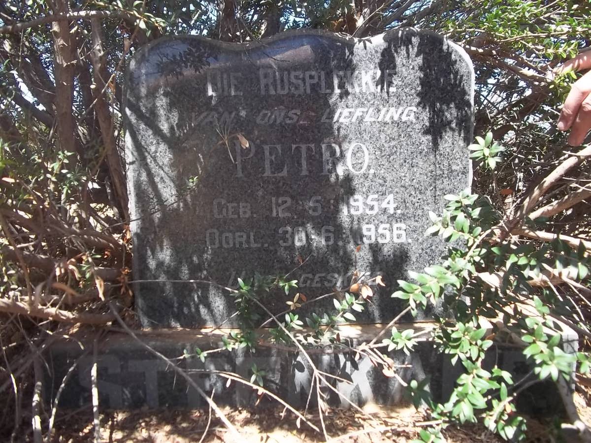 STEENKAMP Petro 1954-1956