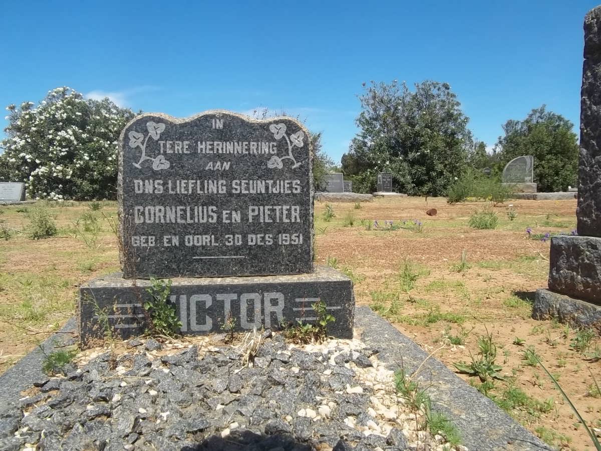 VICTOR Cornelius 1951-1951 :: VICTOR Pieter 1951-1951