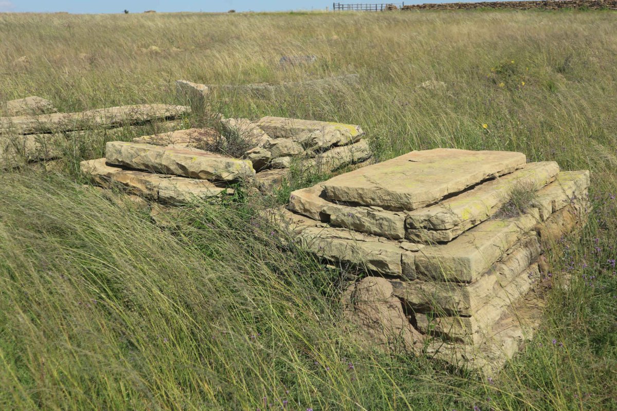 2. Overview