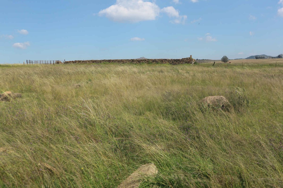1. Overview of the area