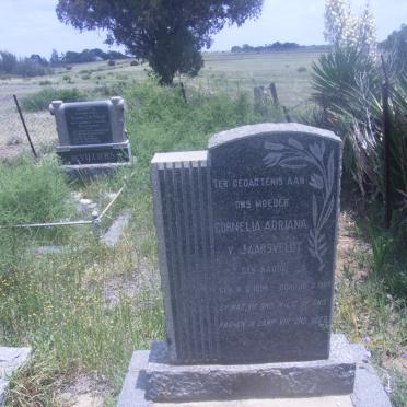 JAARSVELDT Cornelia Adriana, v. nee NAUDE 1894-1964