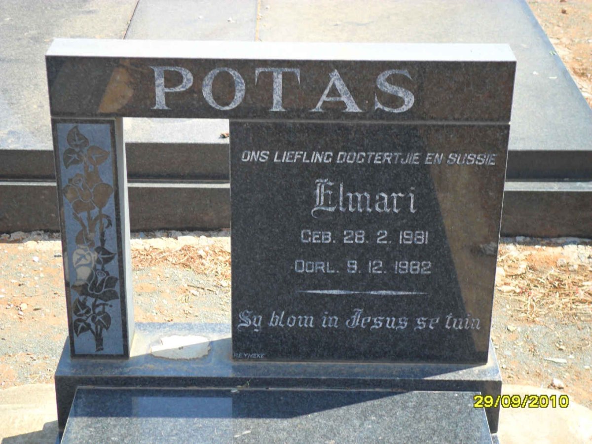 POTAS Elmari 1981-1982