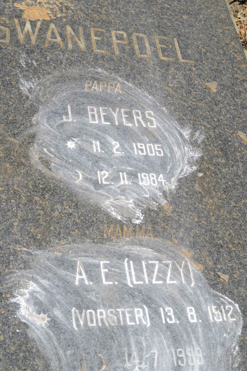 SWANEPOEL J. Beyers 1905-1984 &amp; A.E. VORSTER 1912-1999