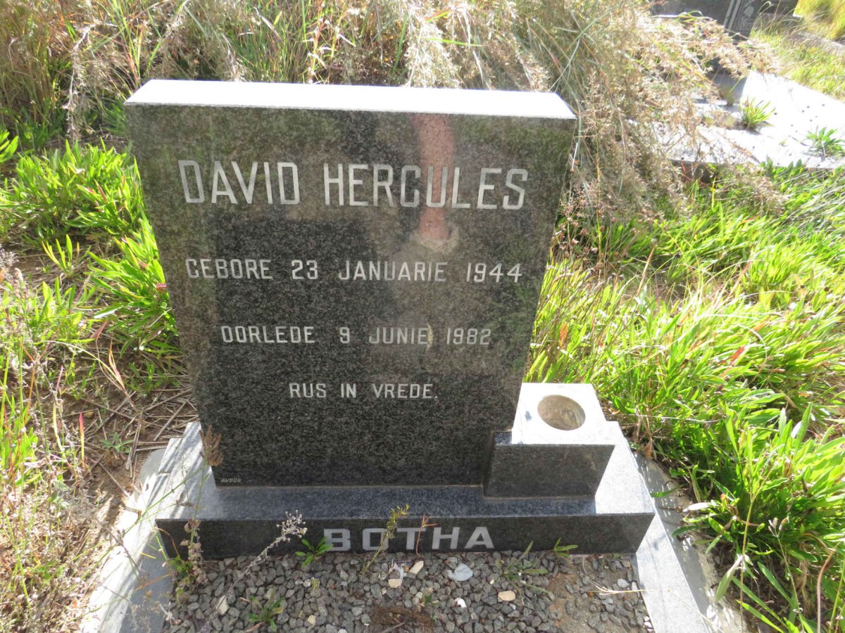 BOTHA David Hercules 1944-1982