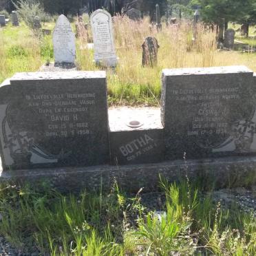 BOTHA David H. 1882-1958 &amp; Gesina J. 1882-1934