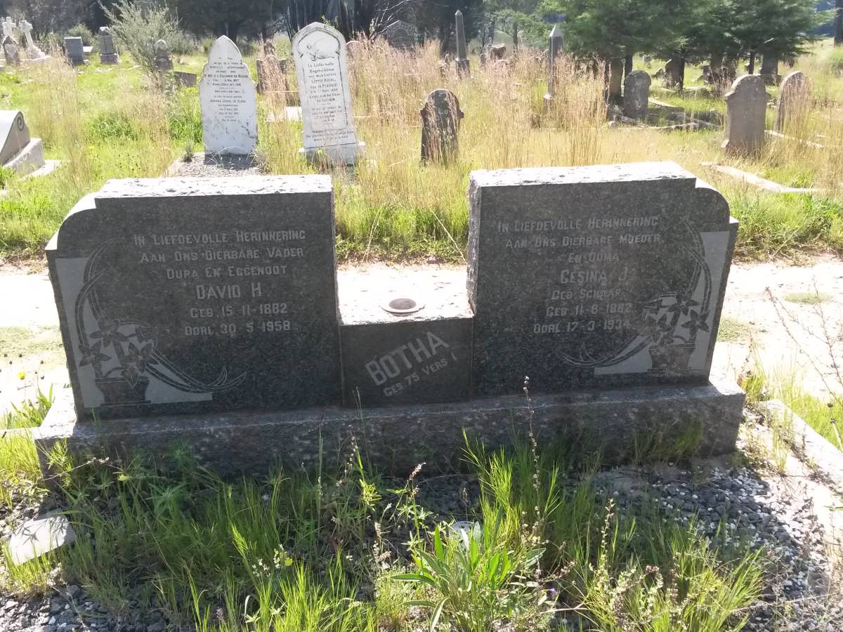 BOTHA David H. 1882-1958 &amp; Gesina J. 1882-1934