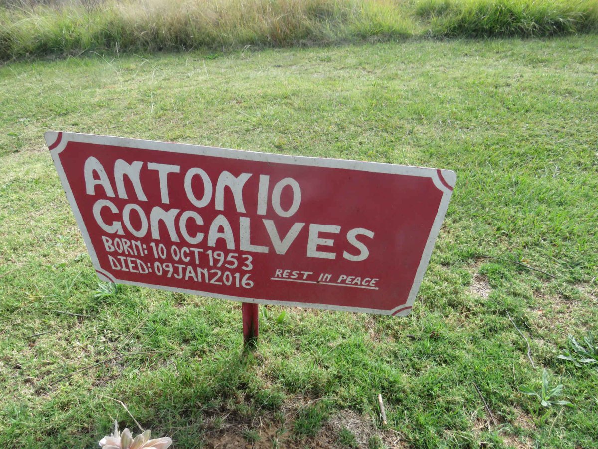 GONCALVES Antonio 1953-2016
