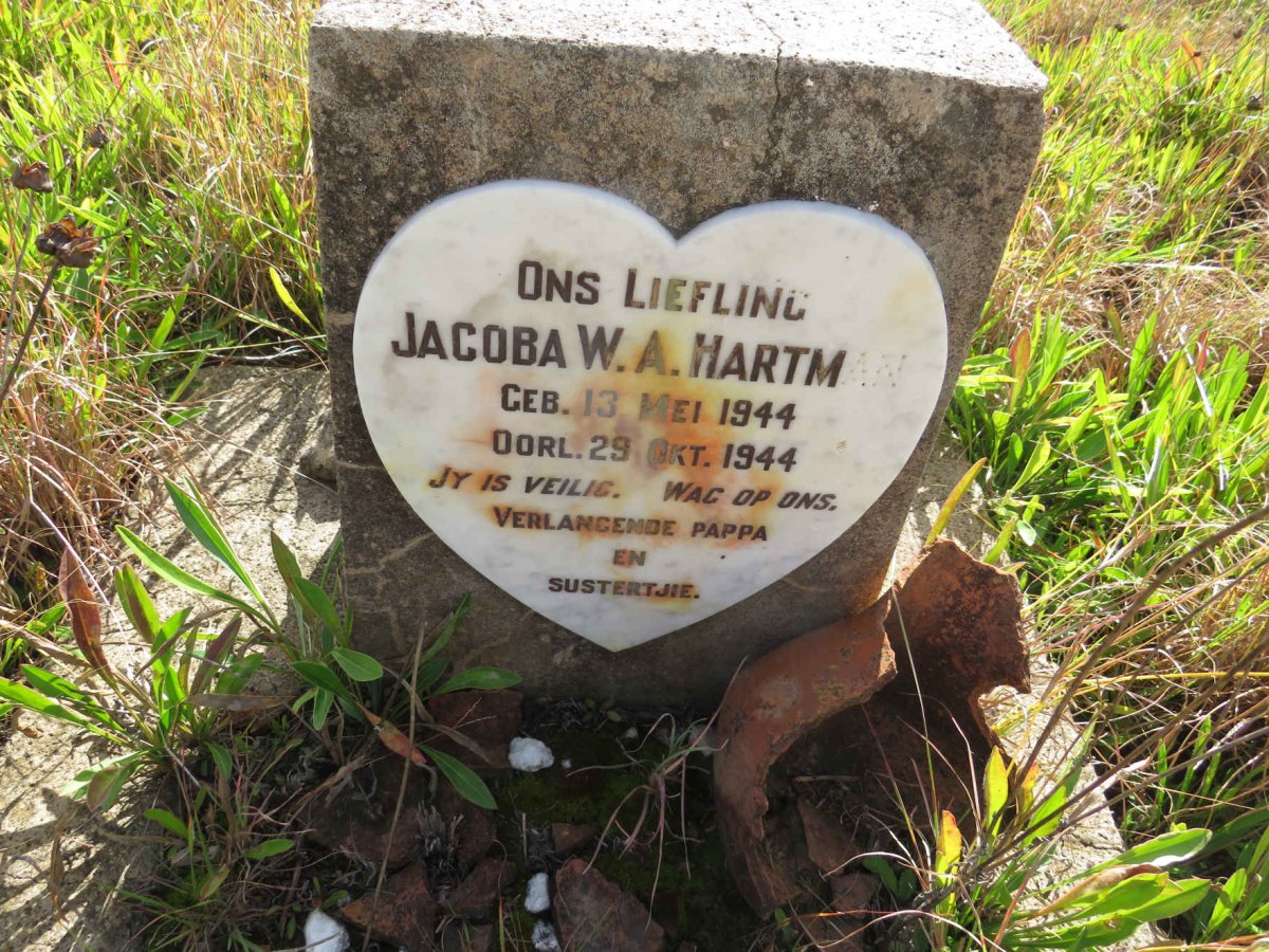 HARTMAN Jacoba W.A. 1944-1944