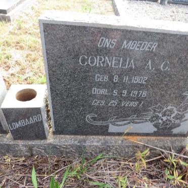 LOMBAARD Stephanus G. 1897-1961 & Cornelia A.C. 1902-1976 _2