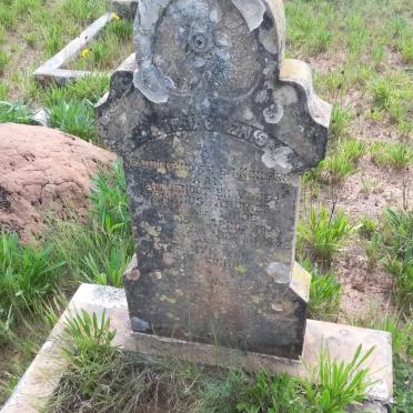 LINDE Stephanus Anries, van der