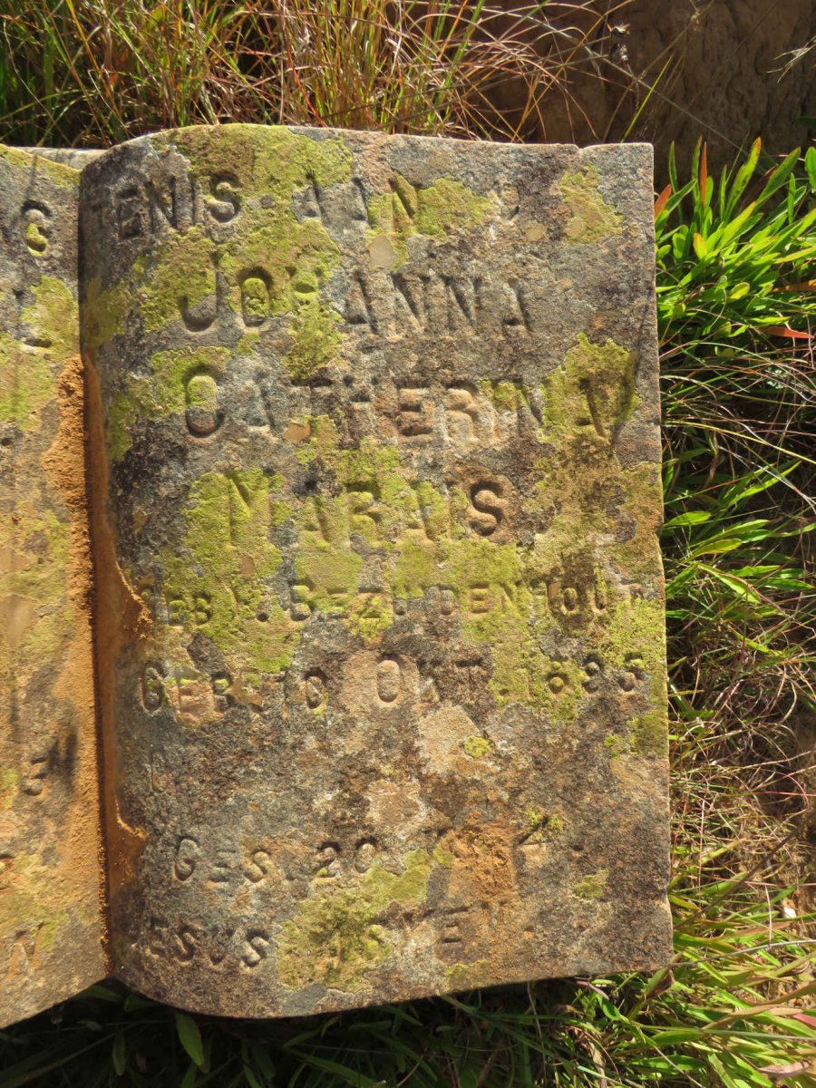 MARAIS Pieter Sarel Paulus J. 187?-1943 & Johanna Catherina BEZUIDENHOUT 1895- _2